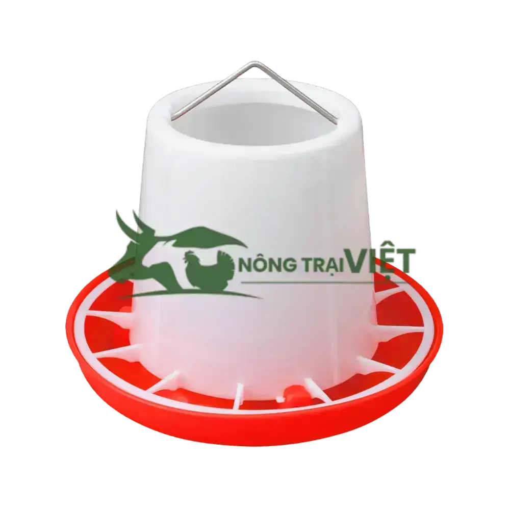 Máng ăn cho gà con 1 tháng tuổi