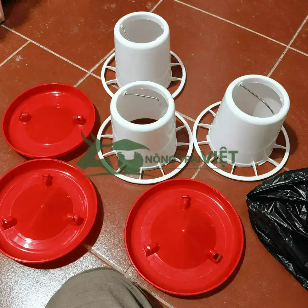 Máng ăn cho gà con 1 tháng tuổi