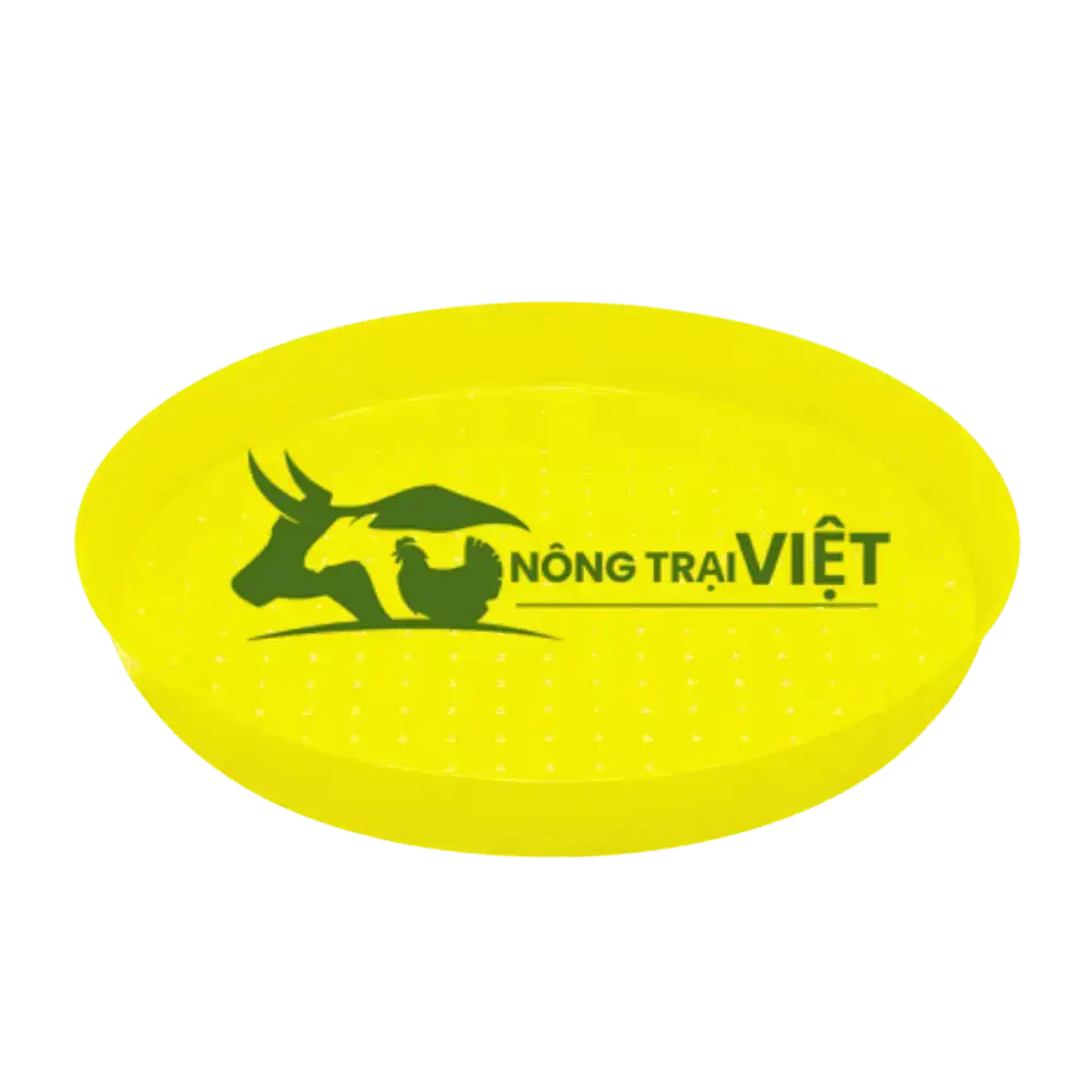 Mâm/Khay tập ăn cho gà con