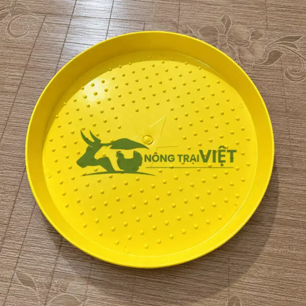 Mâm/Khay tập ăn cho gà con