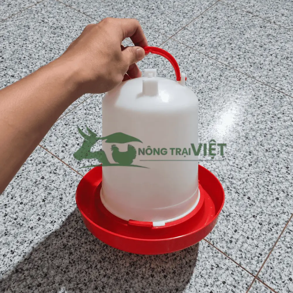 Bình uống nước cho gà vịt