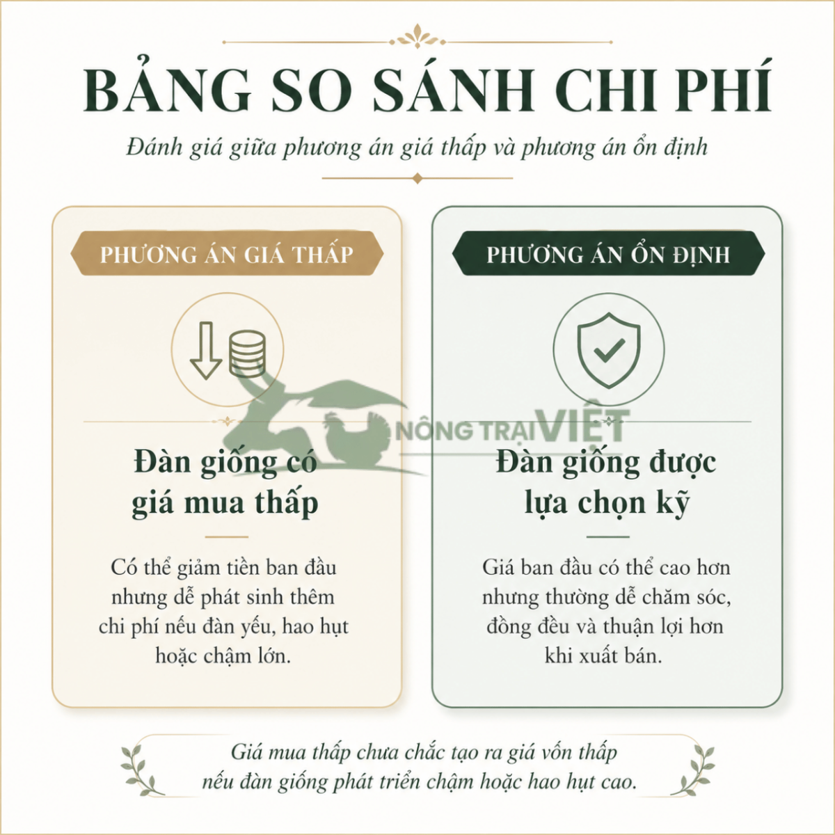 Bảng so sánh chi phí giữa đàn con giống giá thấp và đàn con giống được lựa chọn kỹ