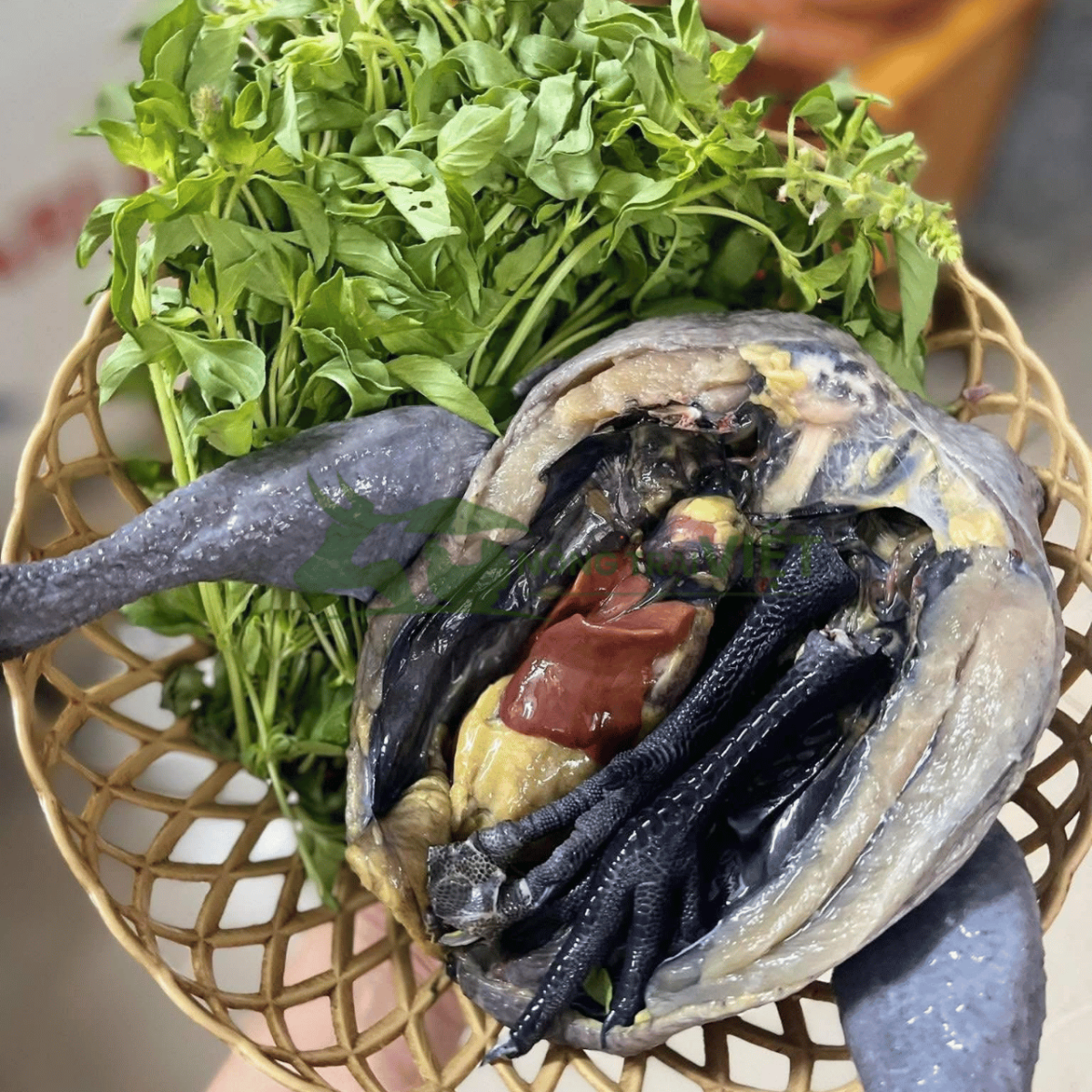 Sản phẩm thịt gà H'Mông đen giàu dinh dưỡng chuẩn vị hoang dã
