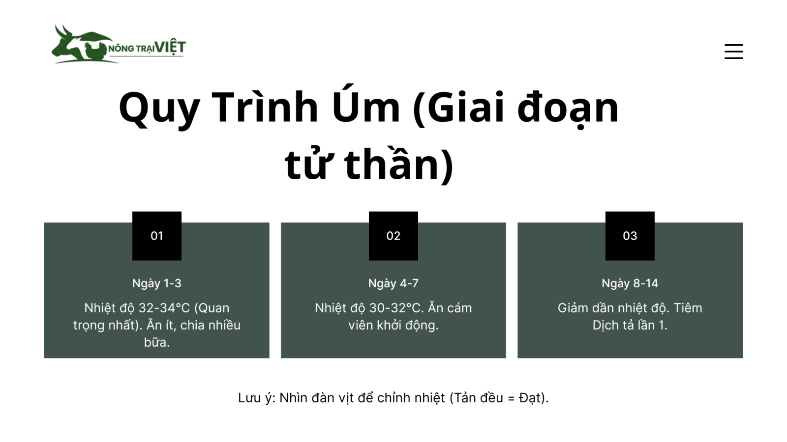 Kỹ thuật úm vịt con