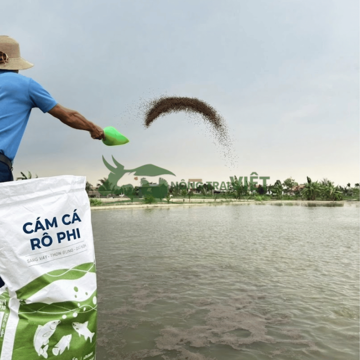 Biểu Đồ Điều Phối Nguồn Thức Ăn Hạt Và Chế Độ Phòng Bệnh Bằng Thảo Mộc