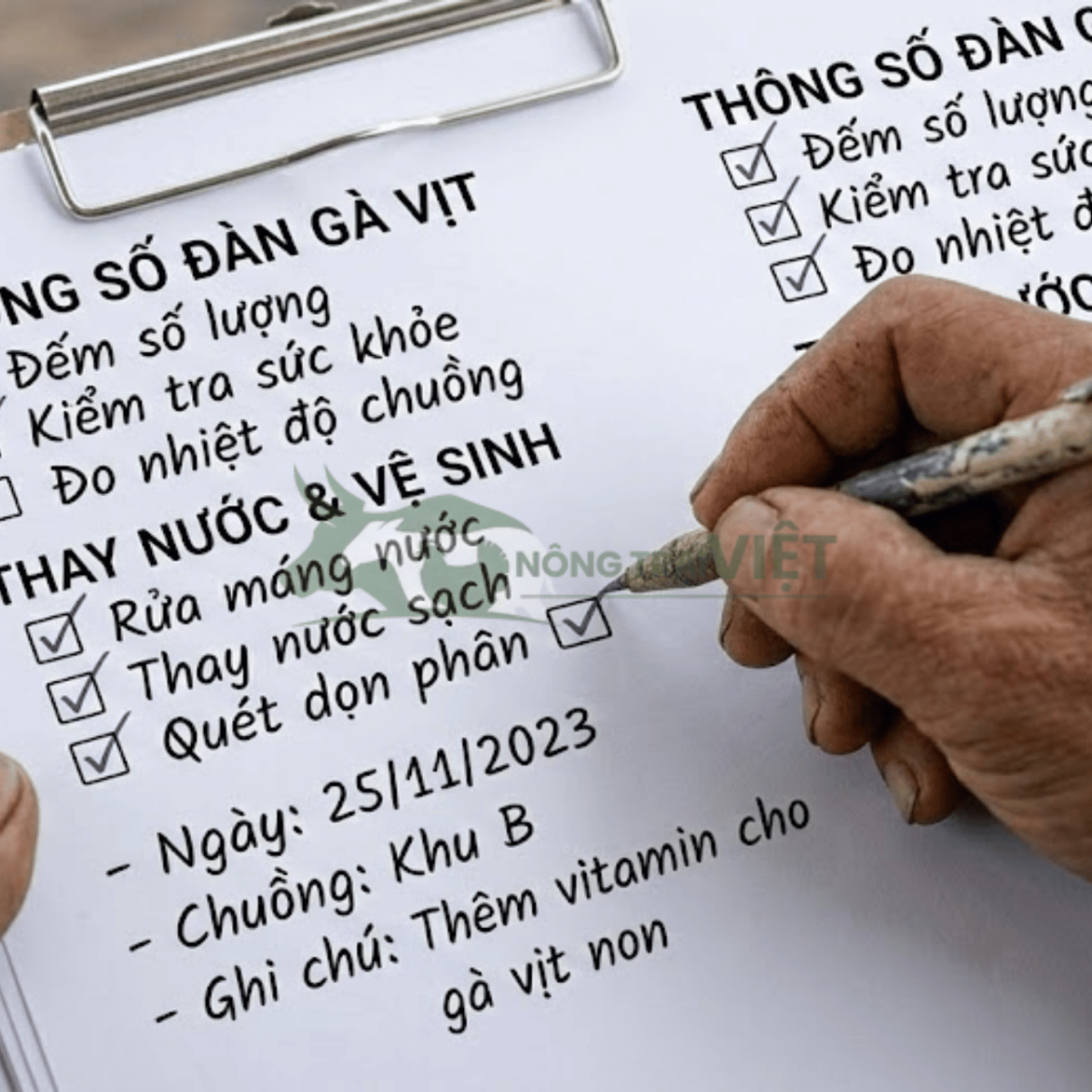 Nhân viên Nông Trại Việt ghi chép sổ sách nhật ký chăn nuôi cuối ngày