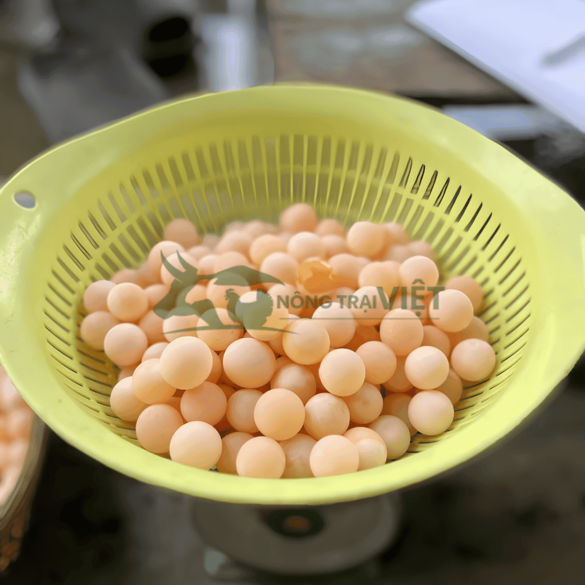 Trứng ba ba có vị béo bùi và được dùng trong một số món ăn đặc sản