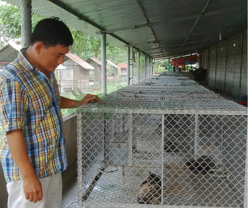 Chuồng nuôi cheo cheo