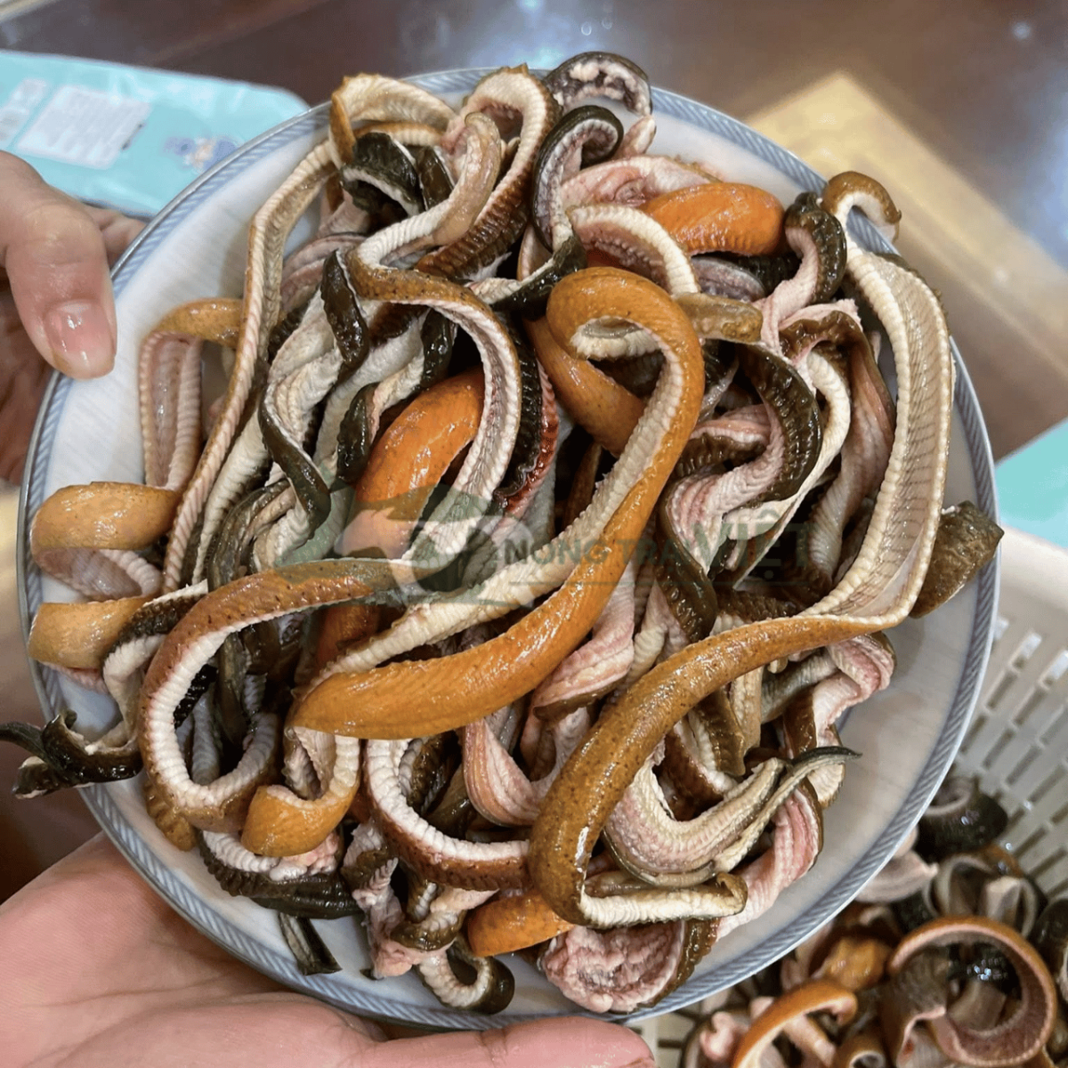 Thành phần dinh dưỡng có trong thịt lươn tươi sống