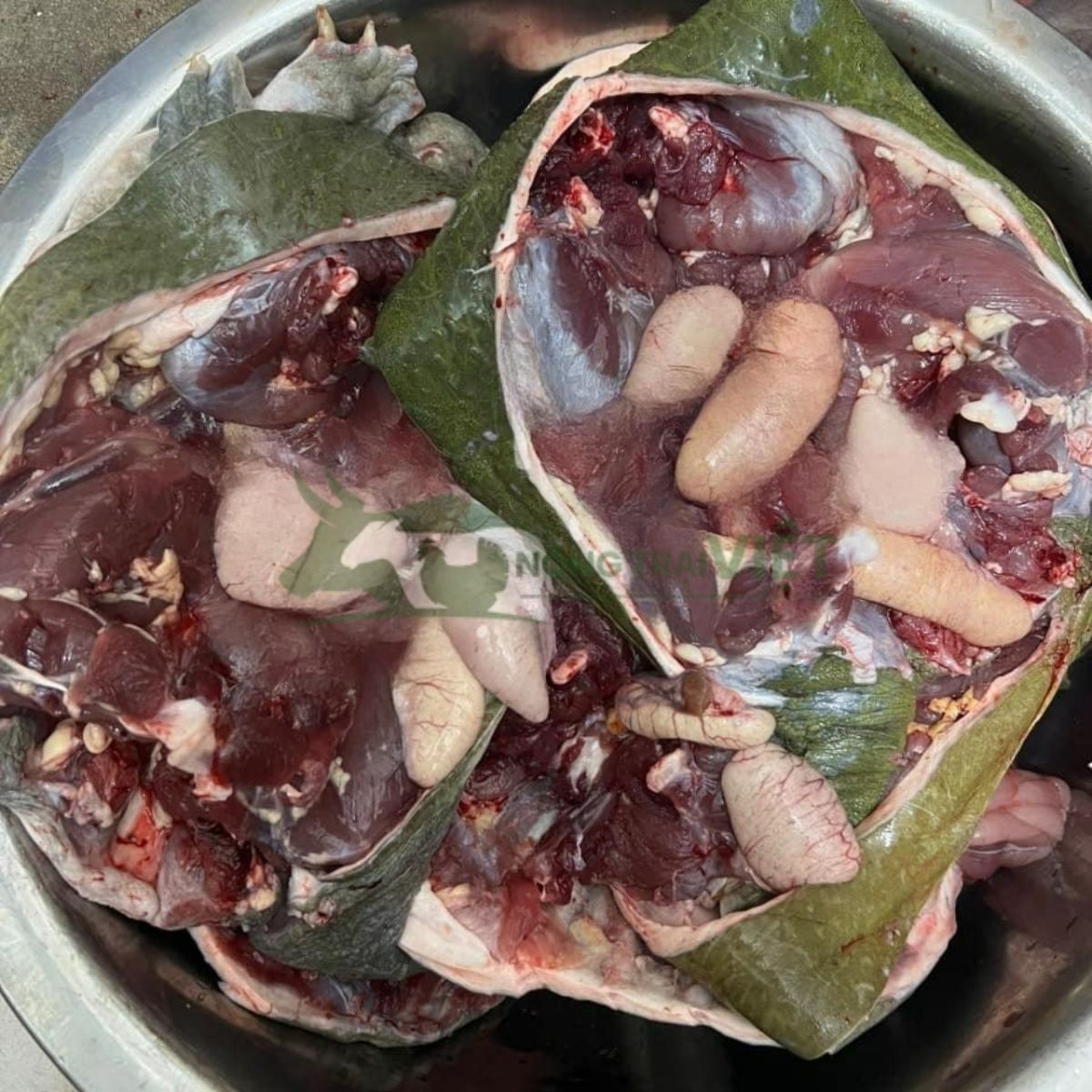 Mẹt thịt cua đinh thương phẩm với lớp da dày và thịt nạc hấp dẫn