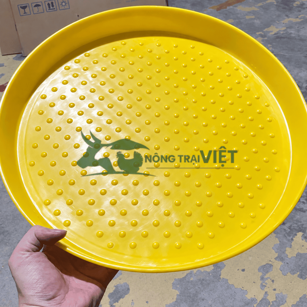 Mâm khay tập ăn cho gà con
